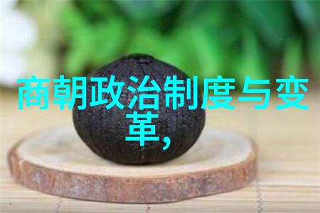 年份密码解密揭开明朝每个时代门庭若市的秘密