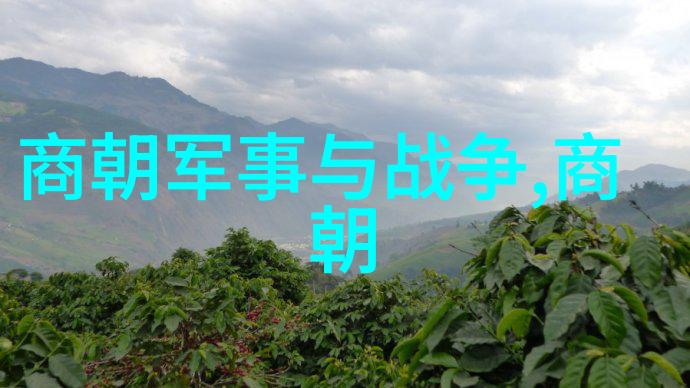探索元朝辉煌历经四百年的盛世与衰落