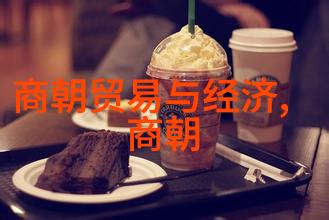 明朝的耻辱土木堡中国历史上的重大军事失败