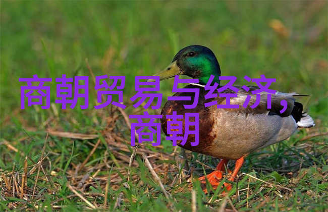 明朝那些事谁播的好听老徐讲述穿越时空的历史奇遇
