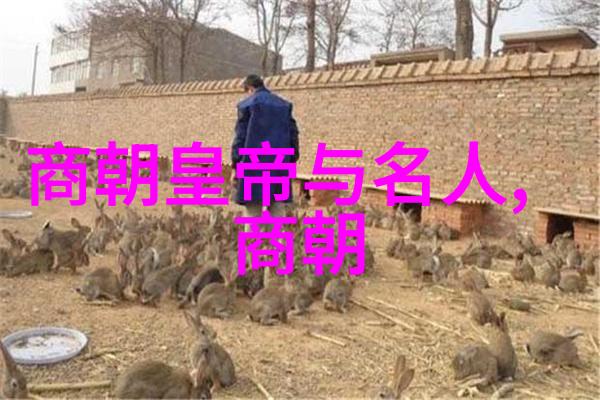 元朝历史最值得借鉴的是什么我认为我们可以从元朝的治理体制中学到很多