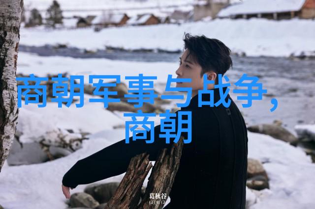 唐朝的辉煌与疆域 从丝绸之路到四方边陲