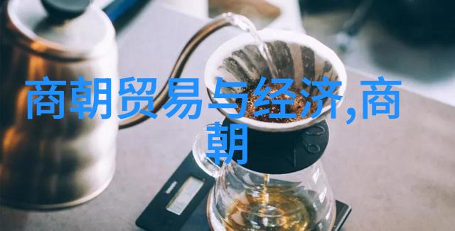 宋朝时期的邻国与邦交东亚世界的多元格局