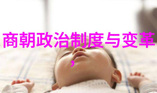 一个时代两种生活方式探究明朝那些事作者的人生轨迹