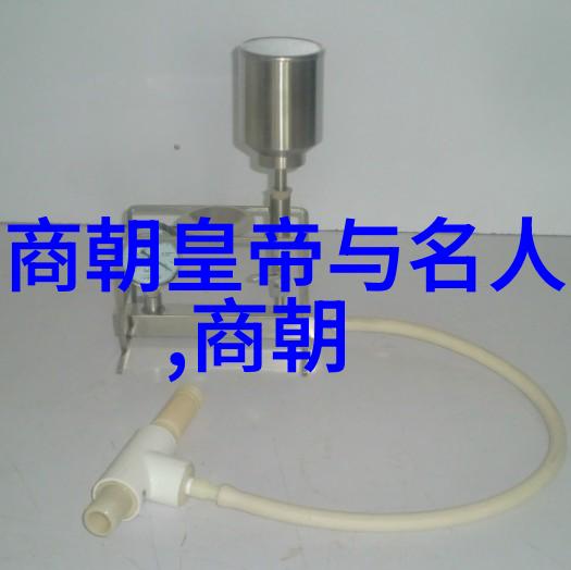 明朝最好的帝王是谁-天下治理论明朝最佳君主