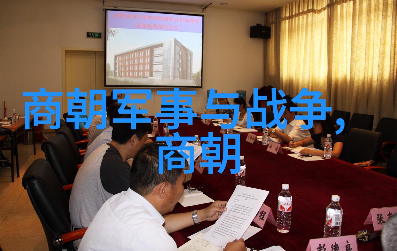 明朝历史解说中国封建社会的最后一个强国