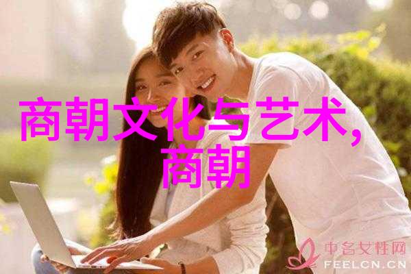 明朝那些事儿全集有声小说之谜揭秘历史真相的音频编织