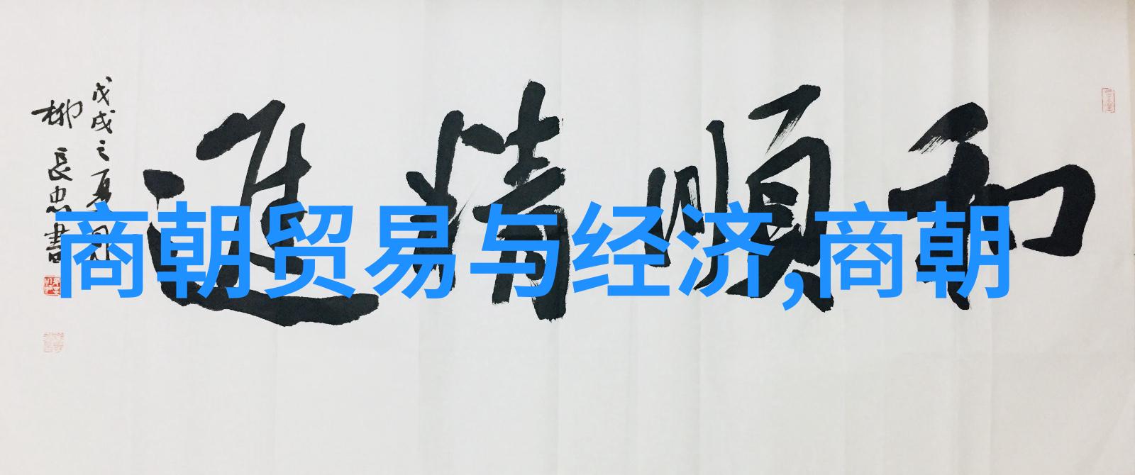 文采风流副厅级笔