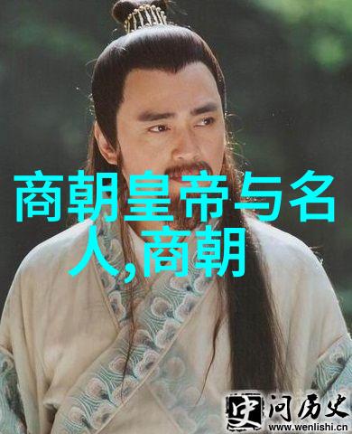 南宋覆灭元朝征服的深层次分析政治经济军事文化交织的命运悲剧