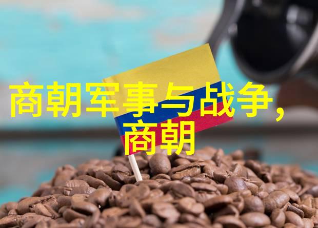 朱祁镇战绩辉煌大明战神的成就与荣耀