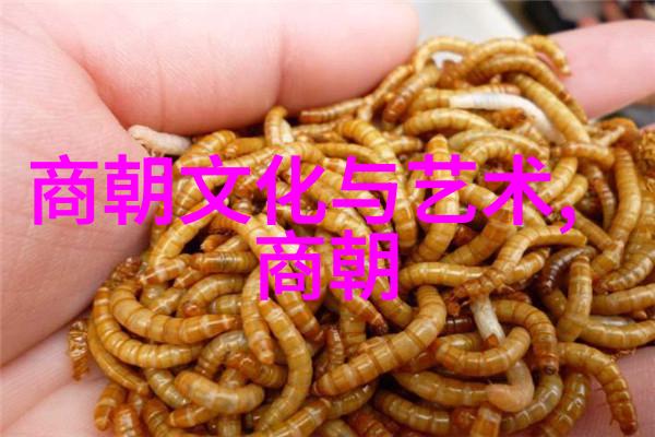历史的阴影诡秘与恐怖的朝代探秘