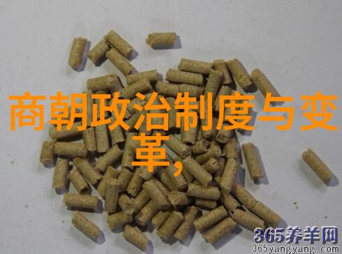 哪些明朝皇帝因其英勇事迹而被后世尊为英雄