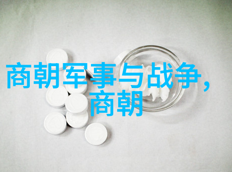 忽必烈蒙古帝国的奠基者与大元王朝的开创者