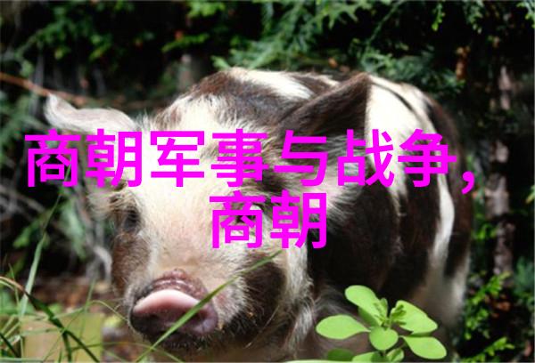 时光长河中的王朝轮回历史各朝代的兴衰与统治篇章