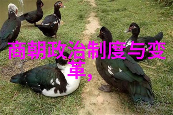 吴红军天仙配黄梅戏生行演员反复回响着黄梅戏的传统魅力
