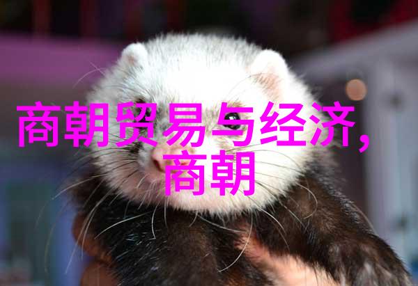 大清朝之谜顺序背后的秘密
