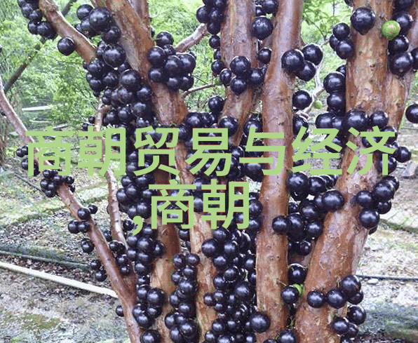 变故中的安宁土木堡宫女的艺术世界