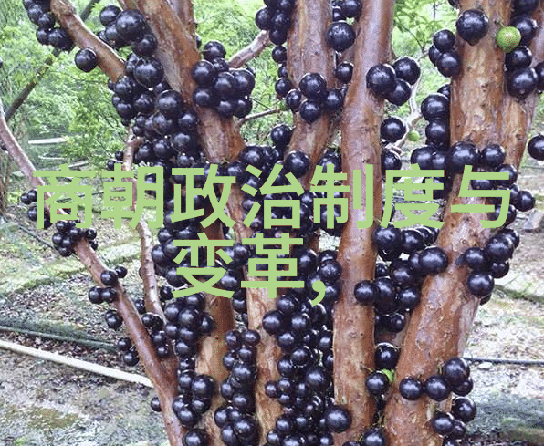 董其昌书法墨迹文本物品