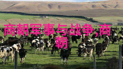 南明朝监国列表及其在历史上的作用