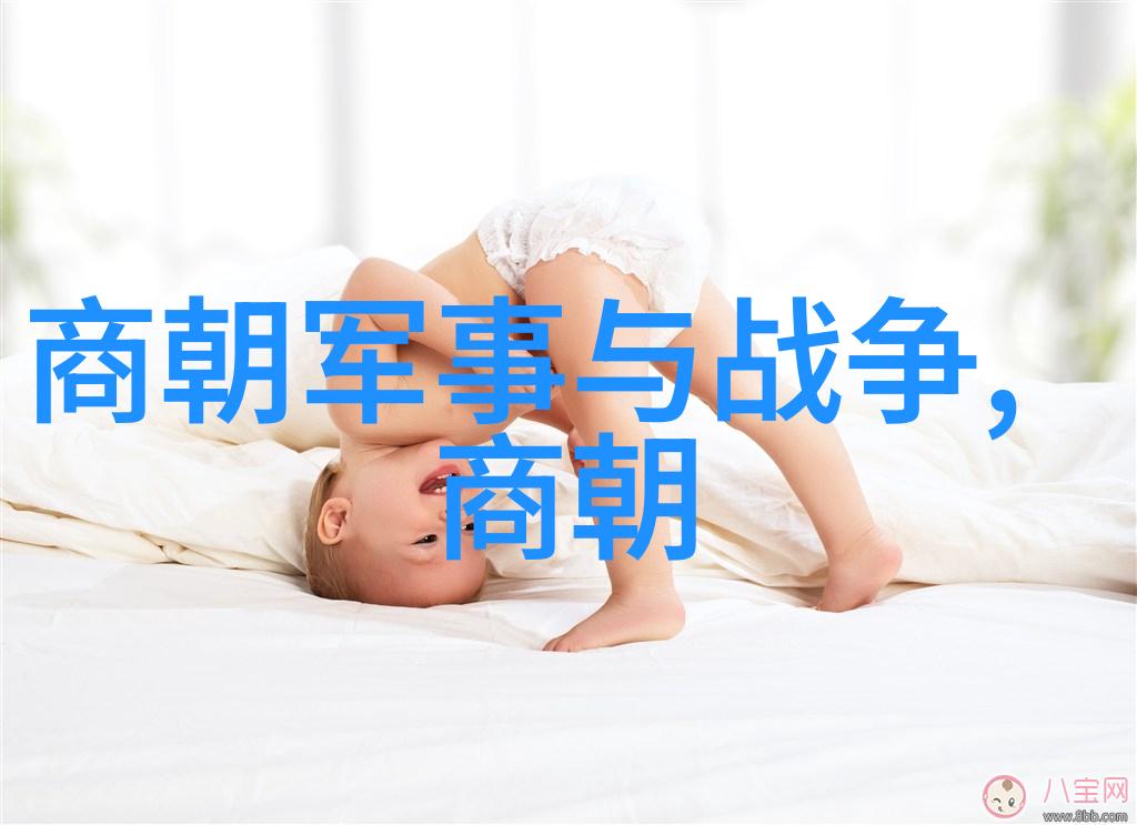 南宋后面是什么朝代我看完历史书才知道南宋之后还有个小伙计叫元朝
