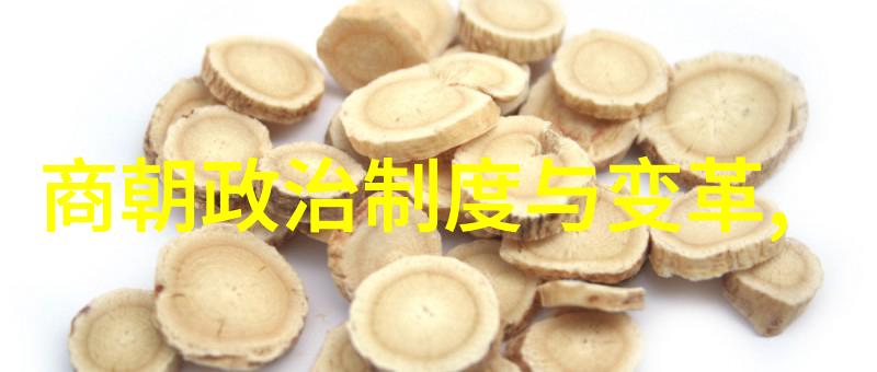 时间的轮回揭秘中国历代之谜