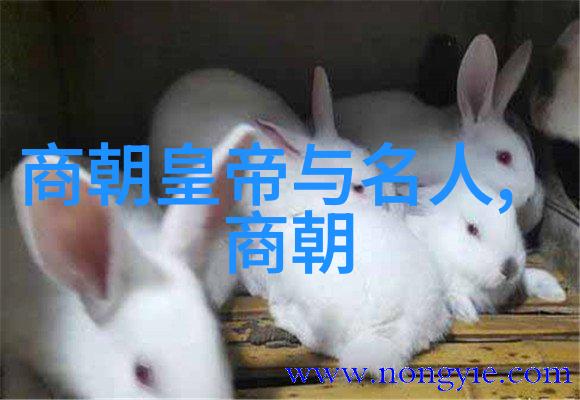 探索元代风雅一瞥封建士大夫的生活方式
