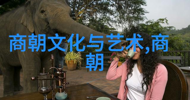 博果尔的娘是谁比孝庄尊贵-帝国内宠儿博果尔母亲的荣耀与孝庄的对比