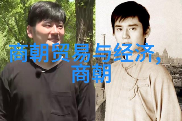 宋朝历史成就我见证了宋朝的辉煌从科举制度到南京城墙的故事