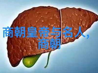 中国历代王朝顺序表我来告诉你我们国家的辉煌历史