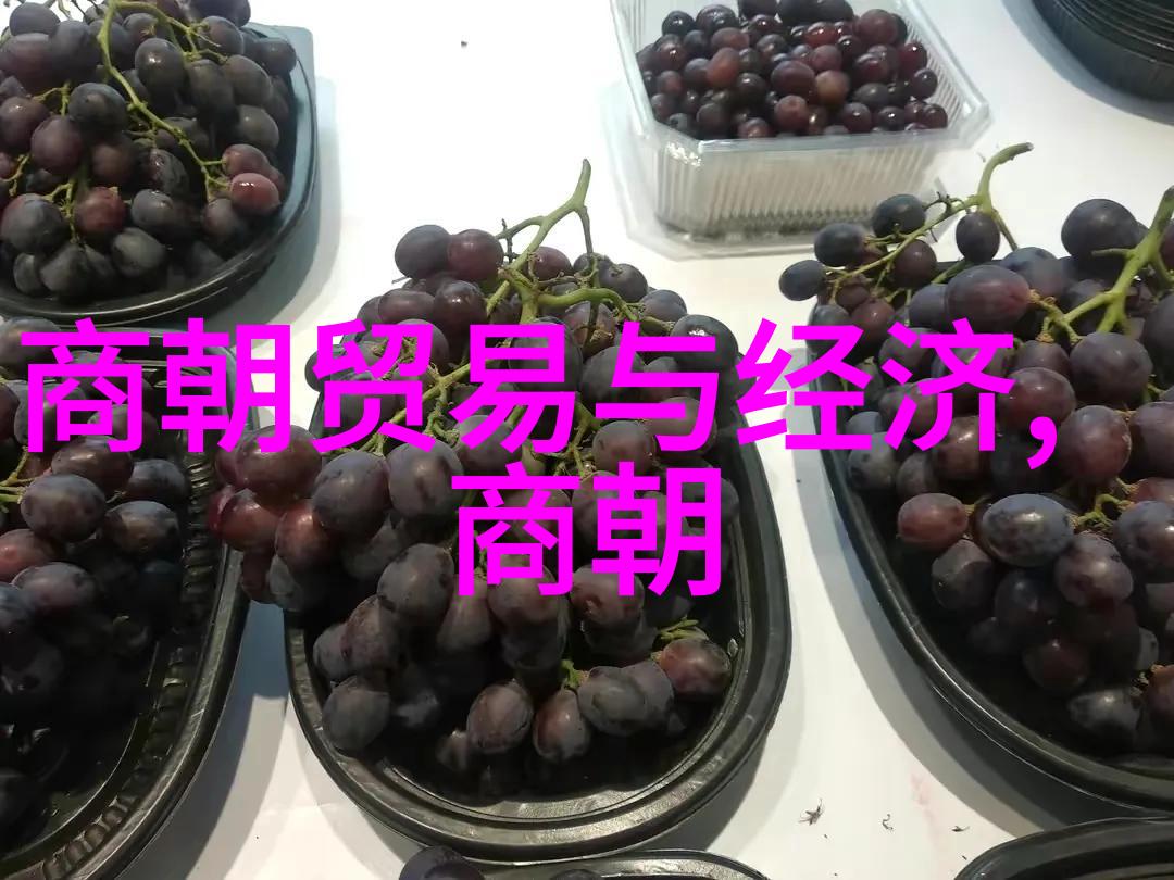 宋朝末年海上之战为何成为了决定性的一场战役