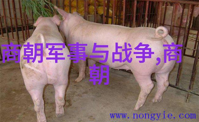 明朝族谱简图揭秘皇家血脉的历史编年