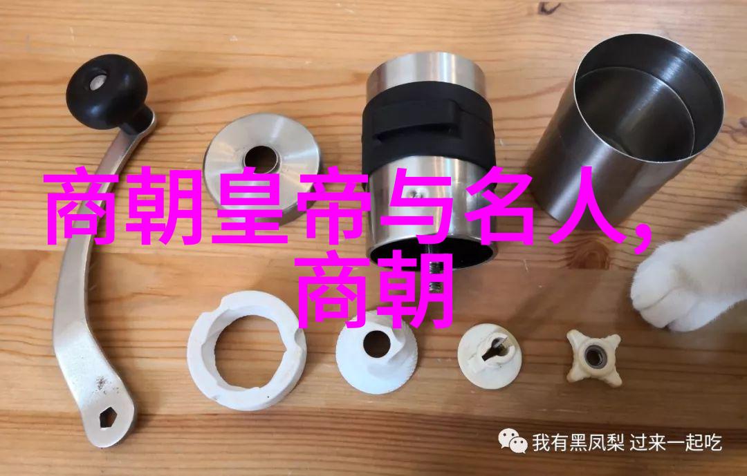 一夫多妻制-共享梦想一夫多妻制中的床与情感