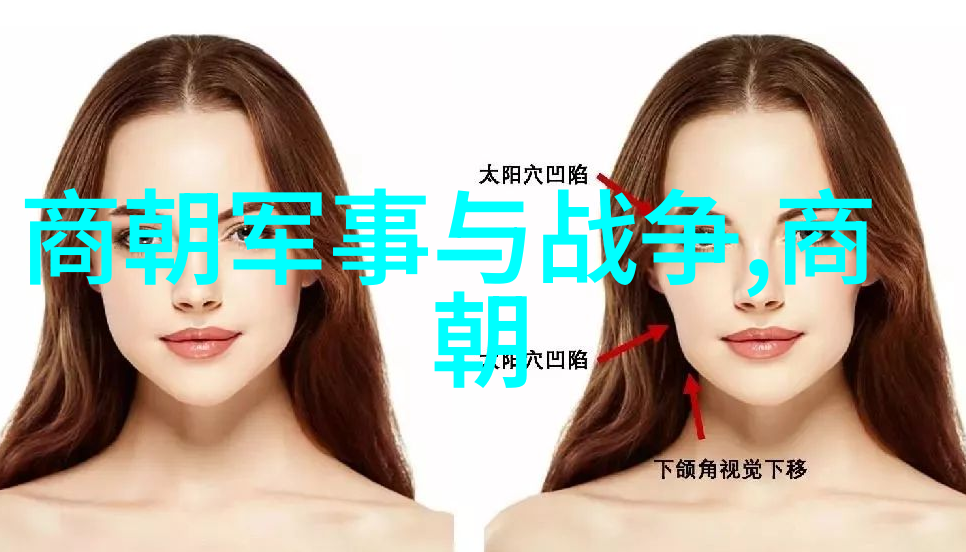 明朝那些事儿龙凤盛世与倭寇侵扰