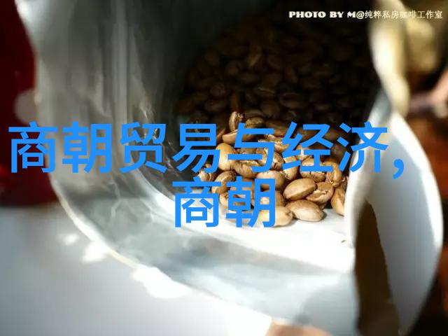 国学堂高崇文的智慧之巅