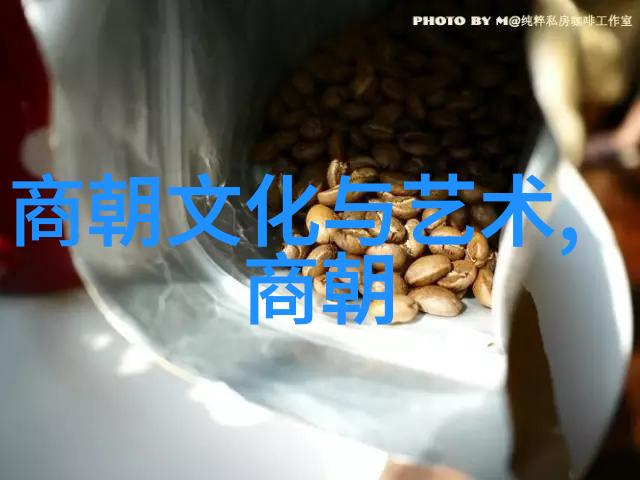 明朝疆域辉煌帝王征服与边陲变化