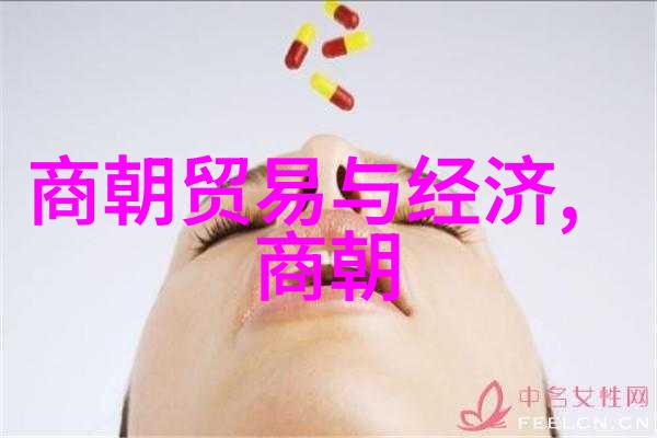 历史的终结明朝覆灭的十大关键因素