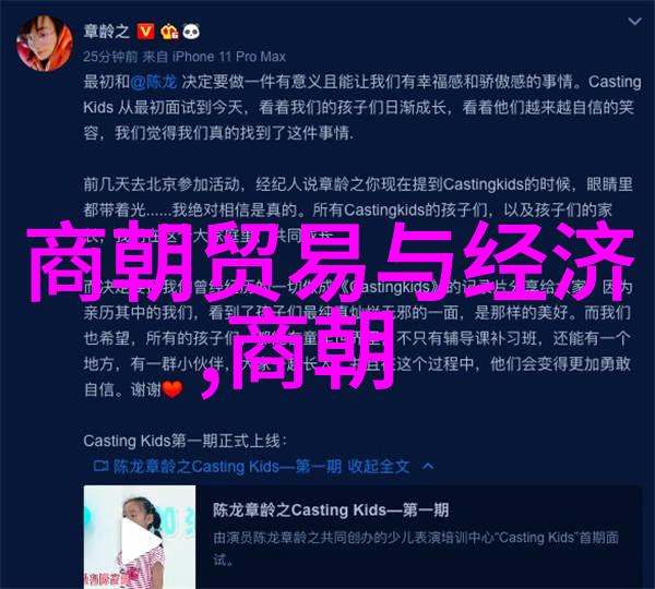 揭秘中国悠久历史从殷商到清朝共有多个辉煌与跌落的王朝