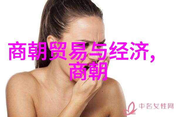 从台州到广西南宋边疆防御策略演变过程考察
