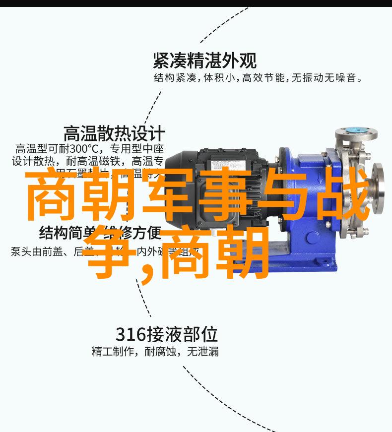 元史宋史中的历史记载比较研究