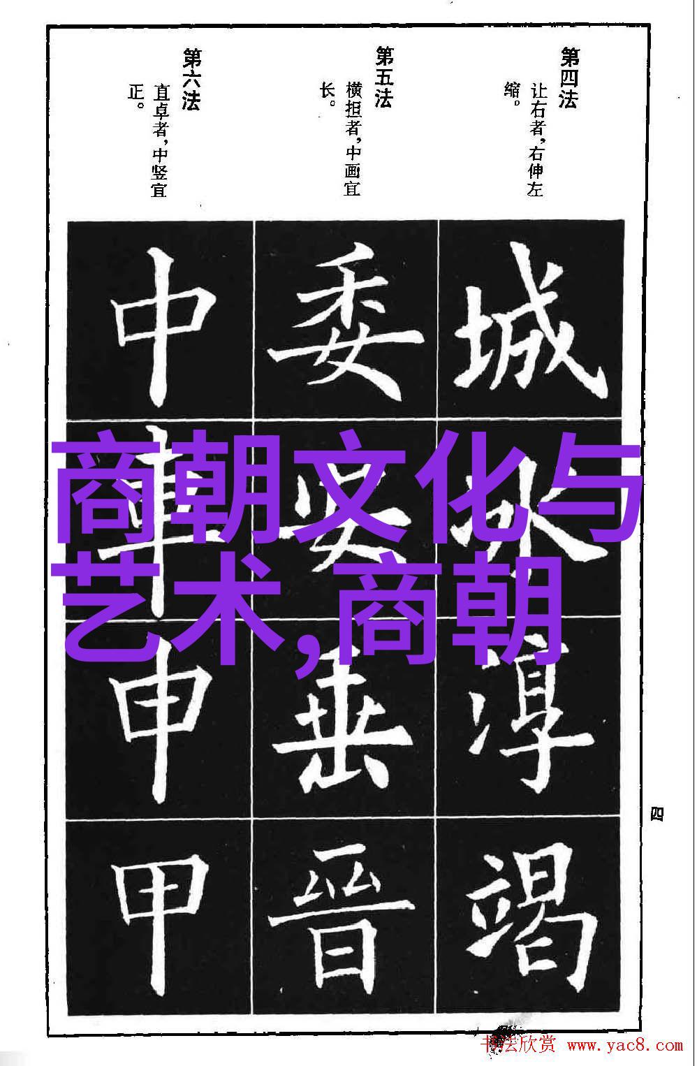 数据驱动最新军事视频展示赖心辉成就