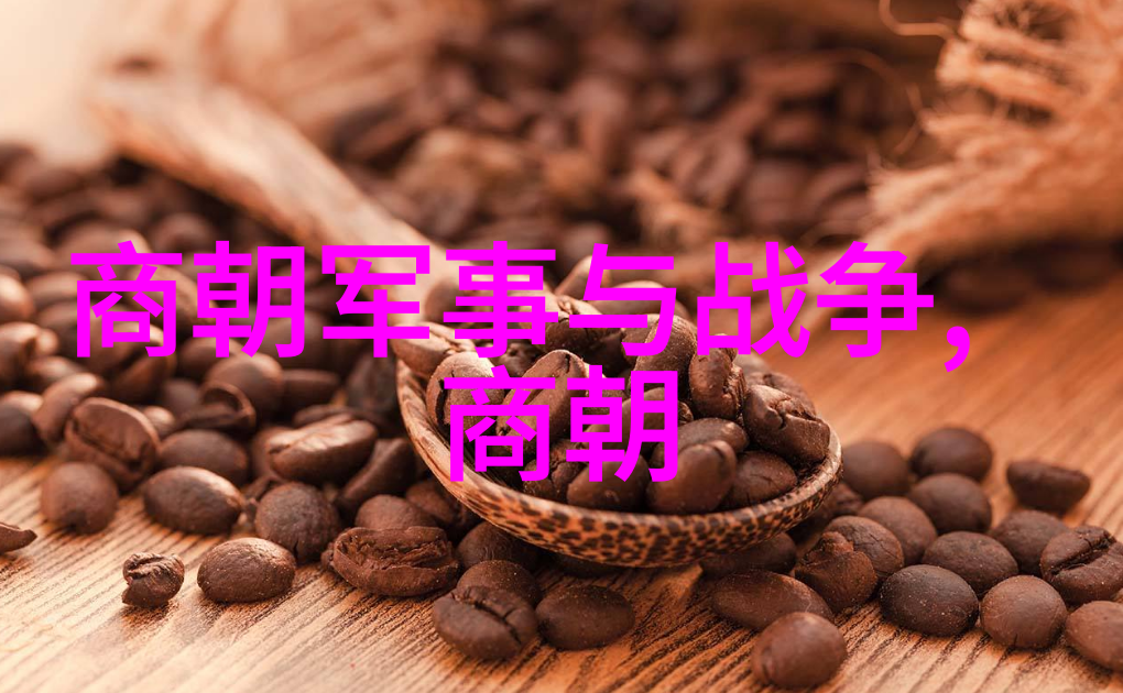 宋朝历史app揭秘古代智慧如何融入现代教育
