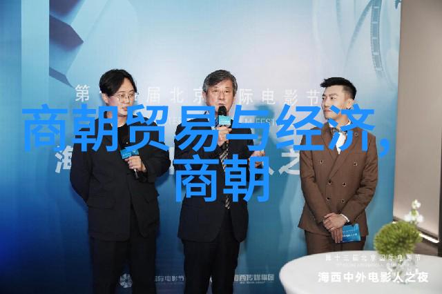 黄梅戏女驸马绘声绘影第六届艺术节文化盛宴引领风潮