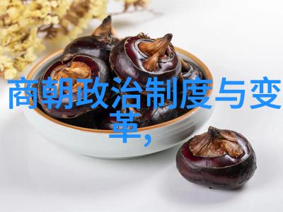 探索世界上什么主义最好李友钧的智慧之旅