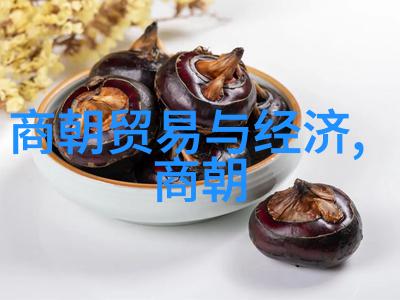 纷飞的龙凤明朝历史在英语中的绚烂变奏
