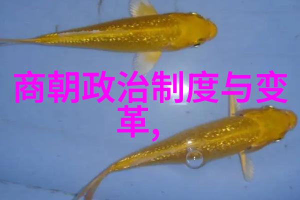 河南戏曲红脸王陈素真