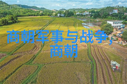 揭秘中国历史王朝实力排名大揭秘