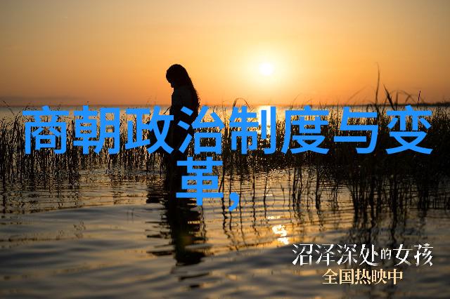 沈茂揭秘中国王朝实力排名的传奇故事