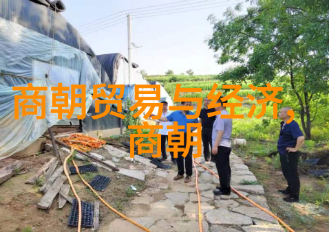 探秘古今奇闻录揭开那些不为人知的历史趣事