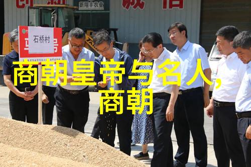 明朝秘密与迷雾揭开历史的谜团