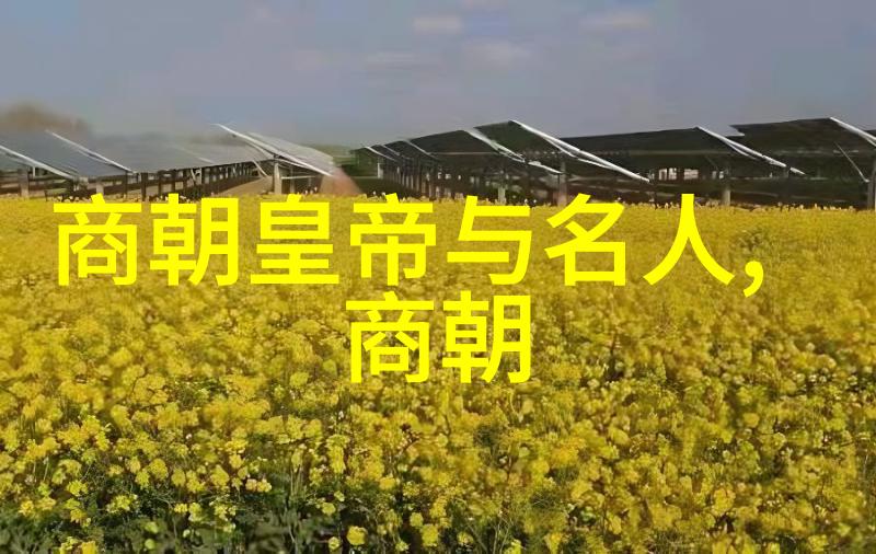 南宋与北宋的分野历史长河中的两段章节